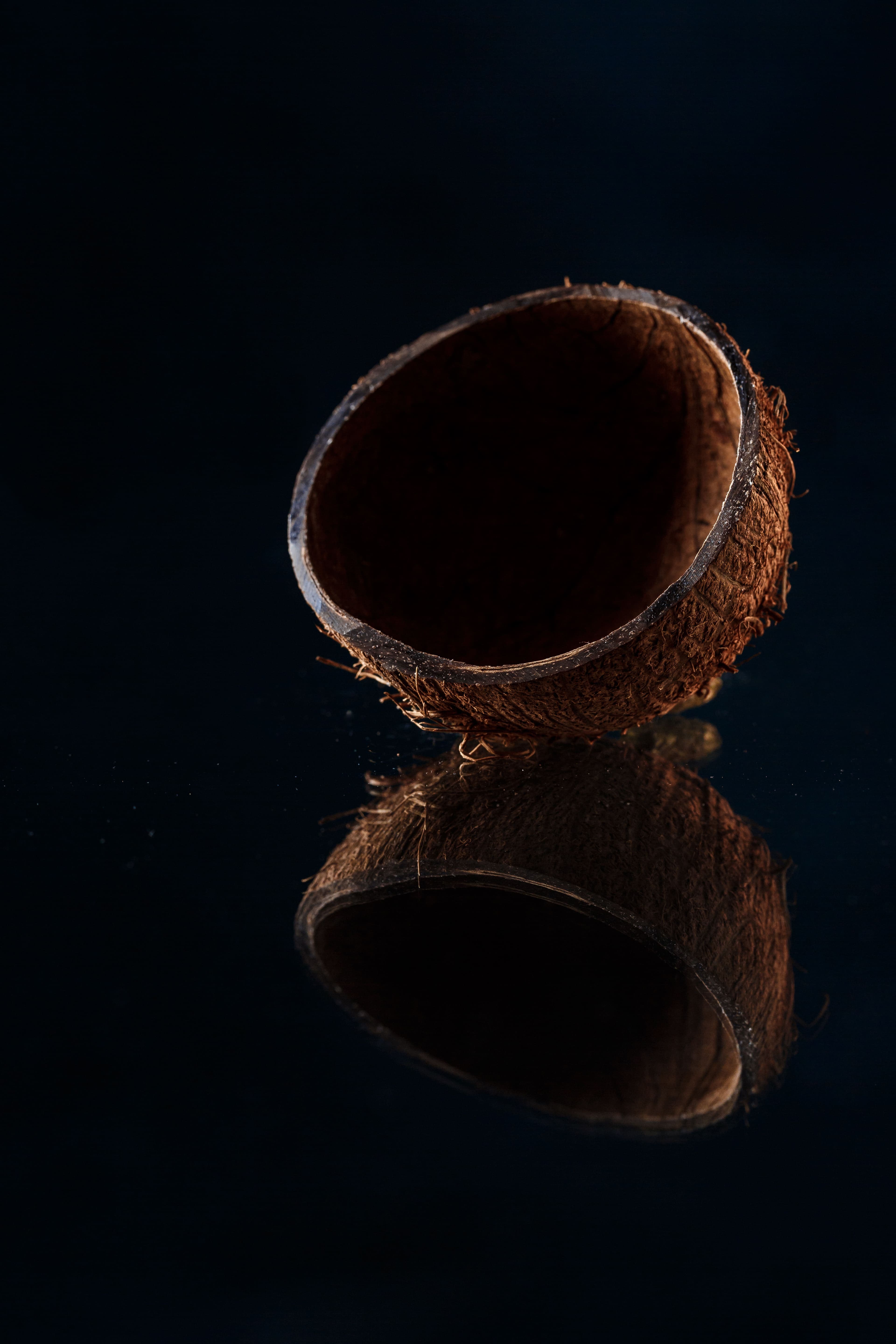 Coconut Shell Charcoal: Industrial Applications and Export Potential