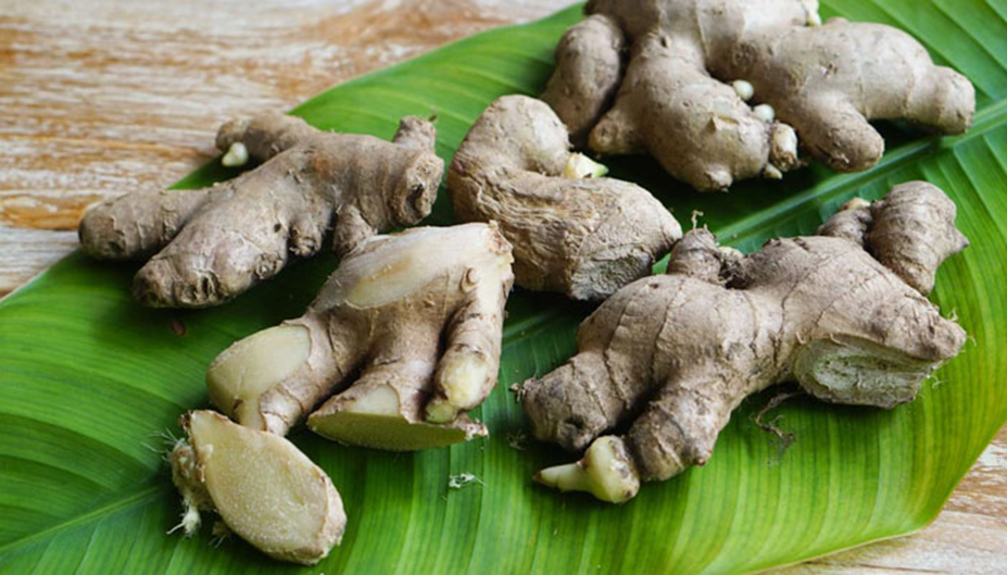 Ginger